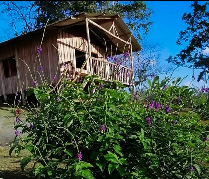 La Choza Lodge Cabaña