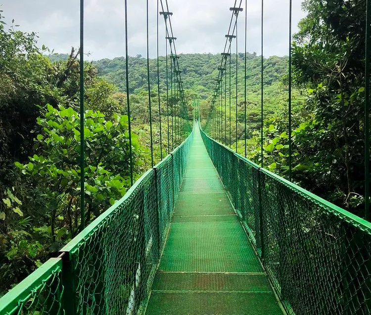 Selvatura puente colgante