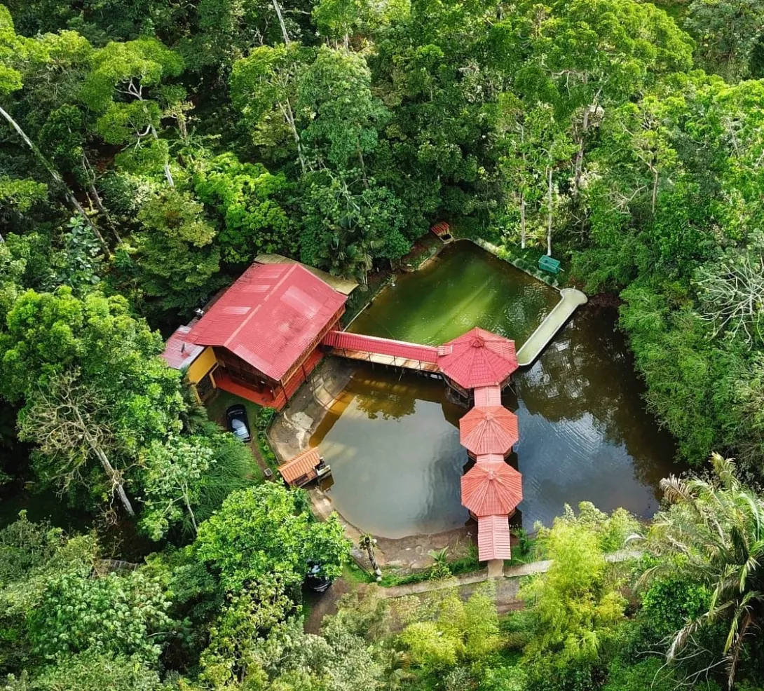 Restaurante Paz del Campo