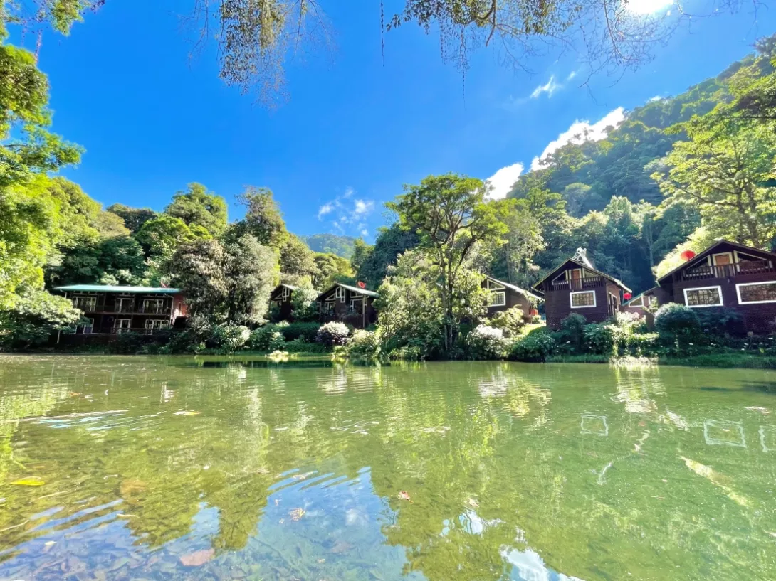 Sueños del Bosque Lodge 1