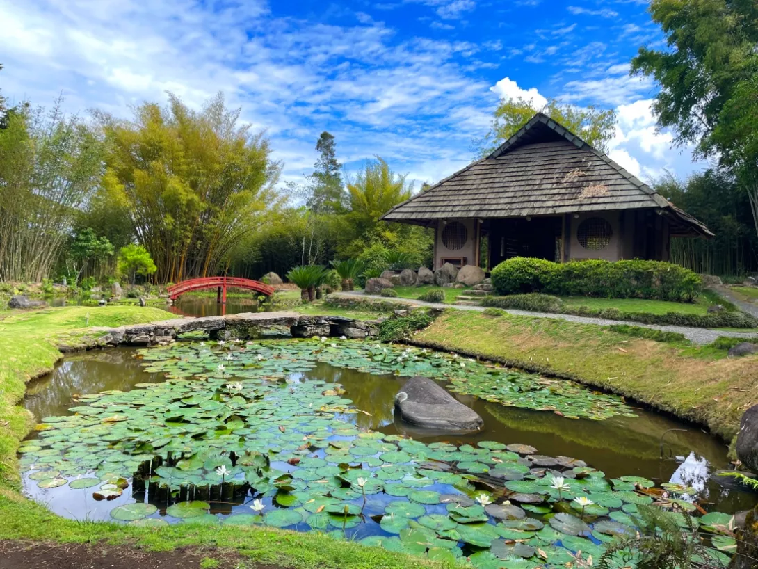 Jardín Botánico Lankester 1